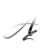 amirreza zare logo website